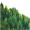 Главная